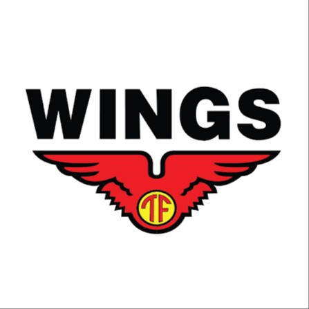 PT WINGS SURYA DISTRIK MANYAR
