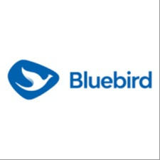Bluebird Group