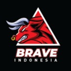 Brave Basketball Academy